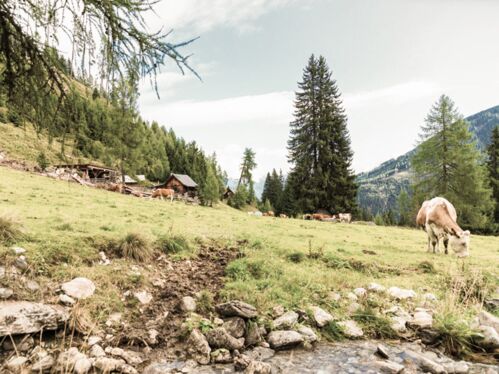 Hoferalm, nur für unsere Gäste