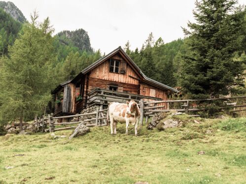 Natur pur